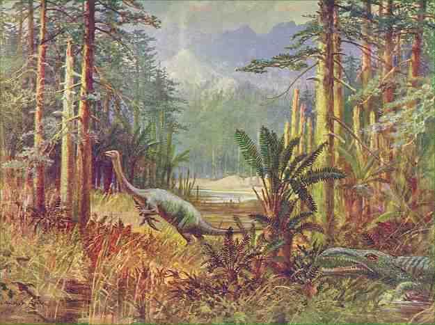 Mesozoic about 250-65mya Since Pangaea had formed===dry Plants-conifers Dinos super diverse!