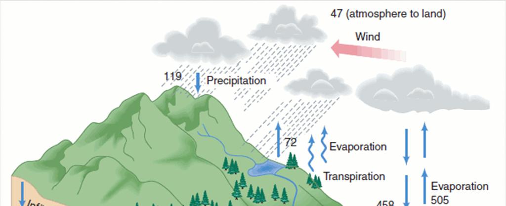 THE HYDROLOGIC CYCLE Units: thousands of km 3 /yr Approx.