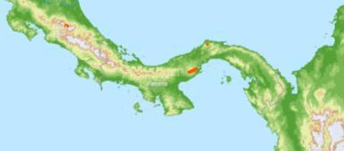 Isthmus of Panama divided Caribbean from Pacific about 3 million years ago. Previously a body of water existed. Several species crabs, snails, fish, etc.