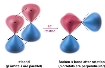 barrier to double bond rotation must be at least as great as the strength of the bond itself (~ 350 kj/mol) Cis-Trans Isomerism in Alkenes Disubstituted alkene Two substituents other than hydrogen