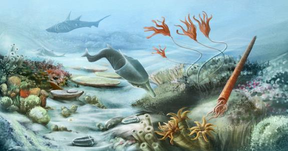 PALEOZOIC ERA This is the first of three geologic eras squeezed into the last 10% of Earth's whole geologic history. But things are really starting to happen!