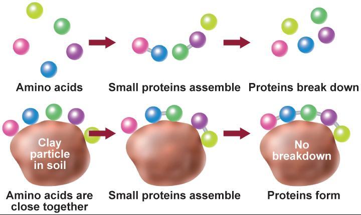 Making Proteins Life requires proteins.