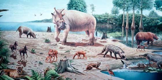 The Cenozoic era began about 65 million years ago and continues today.