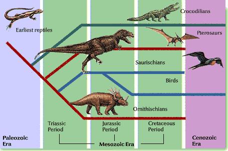 Early Mesozoic: Large