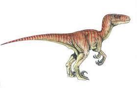 Mesozoic: First mammals,