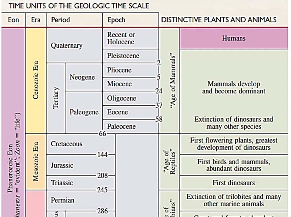 THE GEOLOGIC TIME SCALE Geologists have divided Earth history