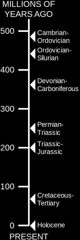 There are 5 mass extinctions that occurred during the Phanerozoic Eon: 1. Ordovician-Silurian Mass Extinction 2.