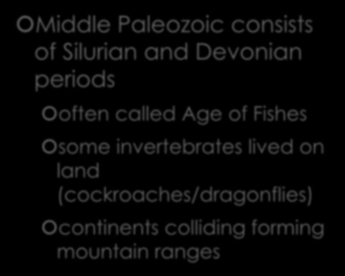 Middle Paleozoic Middle Paleozoic consists of