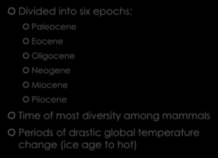 Paleogene Period Divided into six epochs: