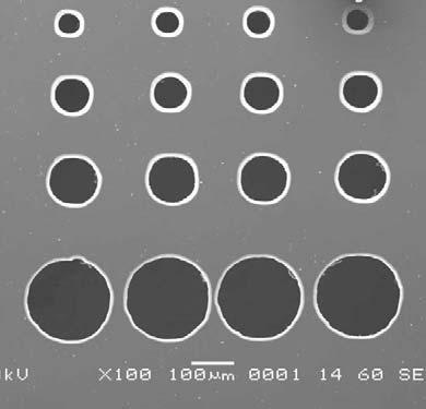 Micromechanical Tests D1 C1 200μm Membrane Diameter (μm) Elastic Modulus
