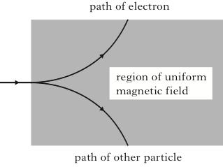 Matter and Antimatter Antiparticles have the same rest mass as the corresponding particle, but have the opposite charge. They have the same symbol as the particle, but with a bar over the top.