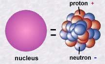 The proton-neutron model of the Nucleus The nucleus consists of Protons and Neutrons, together called Nucleons. The number of Protons in the nucleus is called the Atomic number (Z) of the nucleus.