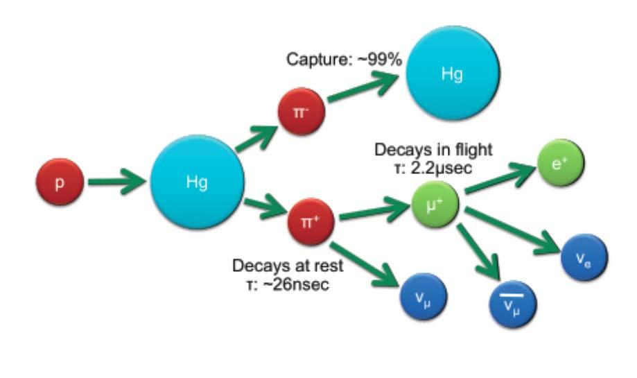 SNS Neutrino Beam Timing Profile 60 Hz timing protons on target
