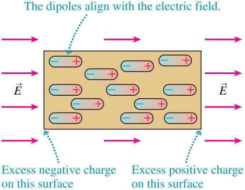 Dipoles in a Uniform Electric Field The figure shows a sample of permanent dipoles, such as water molecules, in an external electric field.