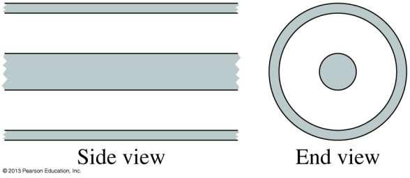 Example 4 The figures show two cross sections of two infinitely long coaxial cylinders.