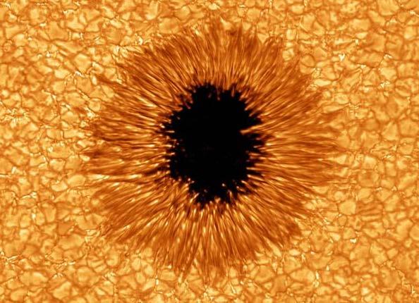 Sunspots and solar magnetism A sunspot corresponds to an intense magnetic flux tube emerging from the convection zone