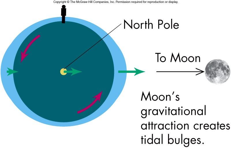 Tides The Moon exerts a gravitational force on the Earth that is stronger on the side closest to the Moon and weakest on the far