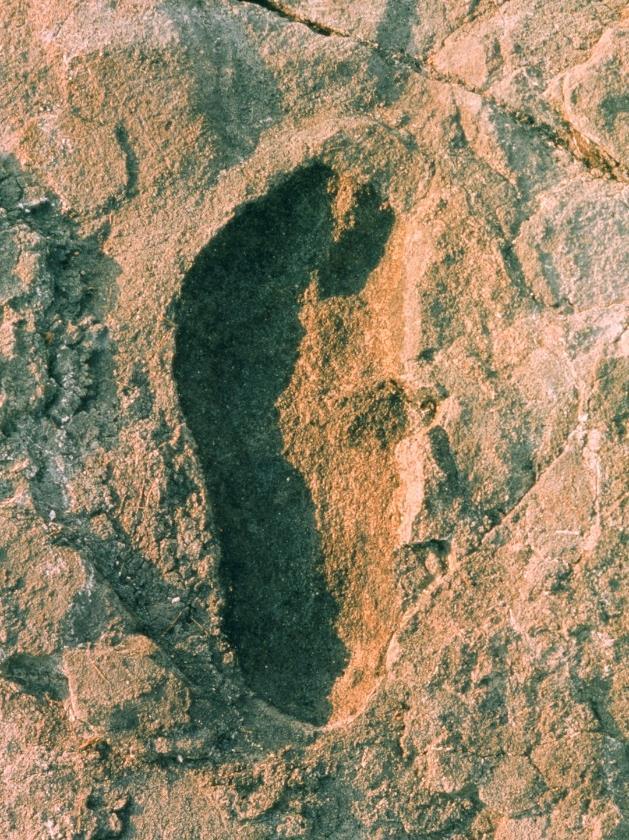 Only One of These Footprints is Protected The narrative of human history on the Moon represents the dawn of our evolution into a spacefaring species.