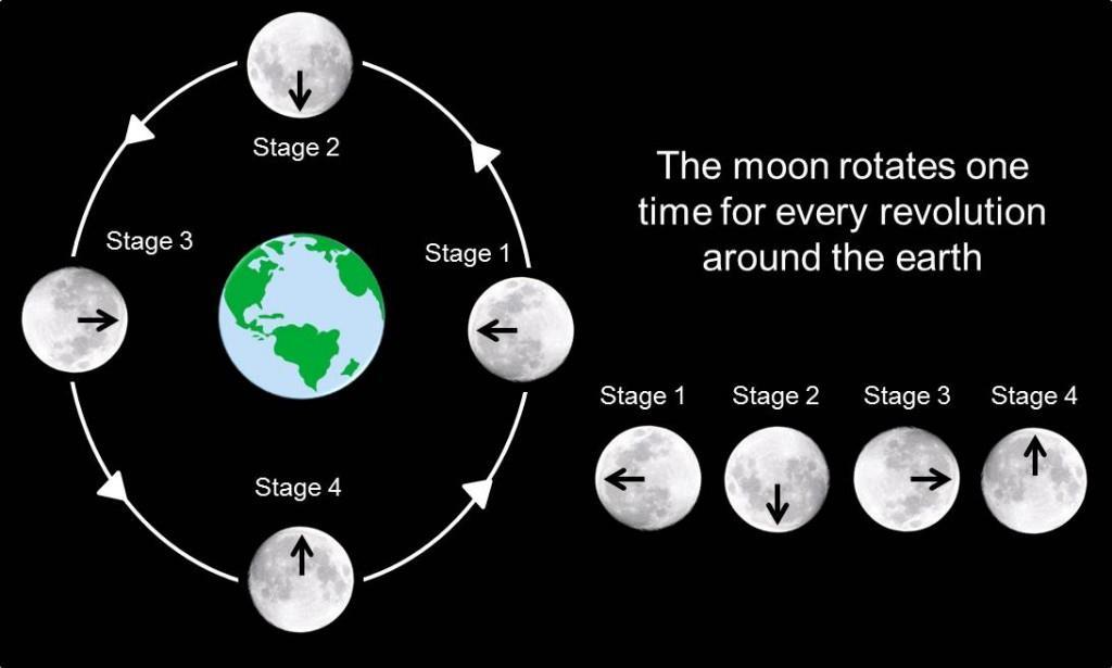 The Far Side of the Moon Isn t Dark There isn't really a dark side of the Moon. The Moon is tidally locked to Earth. This means it rotates on its axis at the same rate (i.e. once per month) that it orbits the Earth.