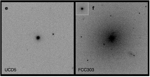 Ultra Compact Dwarf Galaxies Drinkwater et al. 2003 DARK MATTER vs.