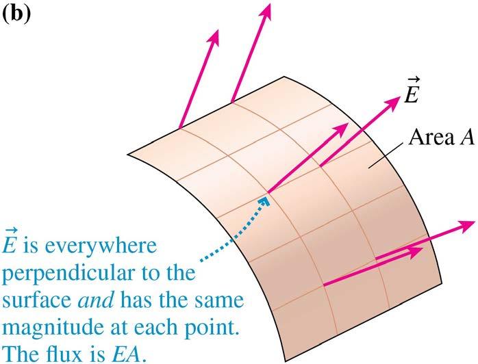 Electric Fields Perpendicular to a Surface Consider an electric field that is everywhere