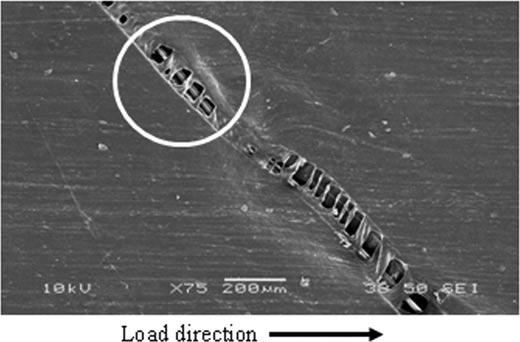 FIGURE 11. SEM image of matrix fracture in a [±45] 2S PP/Twaron laminate. compared with the interfacial strength of Twaron with other matrices such as polyethylene terephthalate and polyethylene.