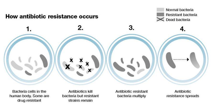 bacteria resistance to