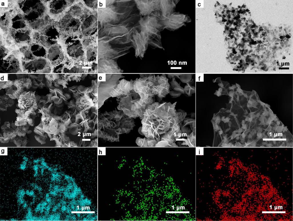 Three-Dimensional Graphene/Polyimide Composites Low- and (b) high-magnification SEM images and (c) TEM image of GF-PI; (d) Low- and (e) high-magnification SEM
