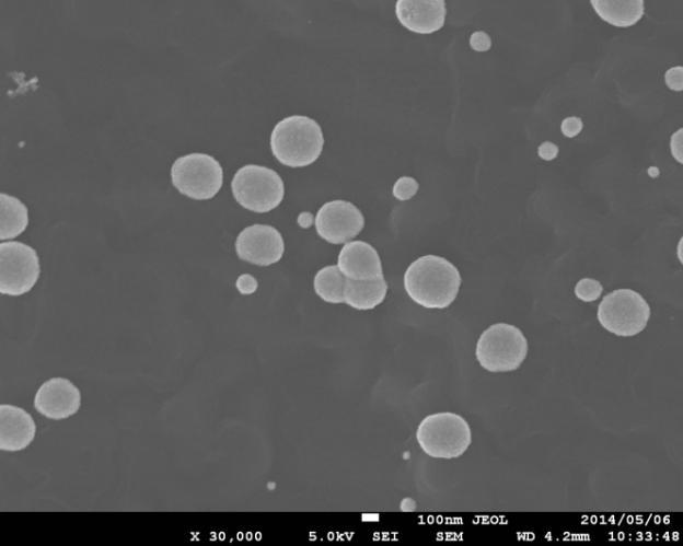 ofpt8pd8/carbon-paper. Figure 4.8 shows the morphology of the Pd16Pt16 deposited on carbon paper. The fibres of the carbon paper are uniformly covered with Pt and Pd particles.