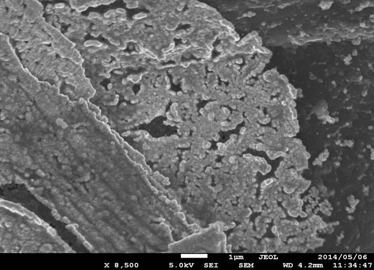 Chapter 4: Results and Discussion paper is 25 nm, which is also a large particle size. Wang et al [168] also obtained such agglomeration in the ration of 1:1 for Pd: Pt/Carbon-paper.