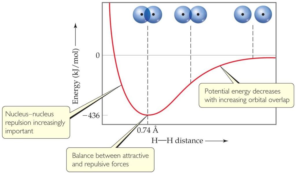 Orbital Overlap and Bonding Atoms get closer together until a balance is reached between repulsions and attraction Potential energy at minimum
