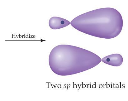 hybrid orbitals Have two lobes like a p