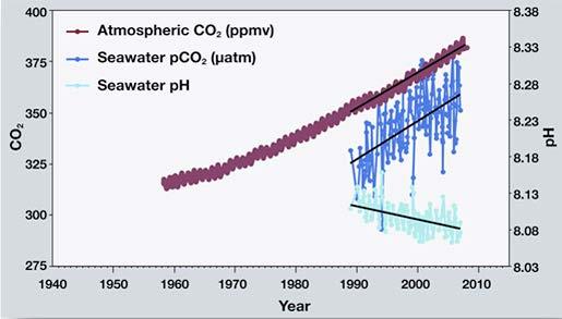 Evidence #1: Since 1950, Earth s atmosphere and oceans have changed. The amount of carbon released to the atmosphere has risen. Dissolved carbon in the ocean has also risen.