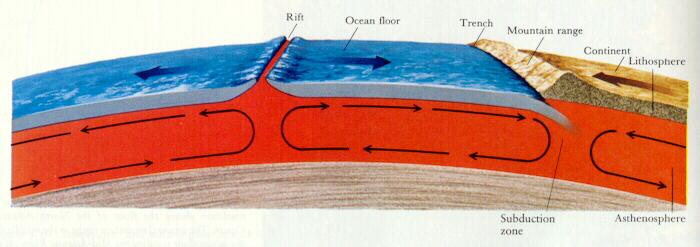 Plate Tectonics Lithospheric plates (crust and rigid mantle)