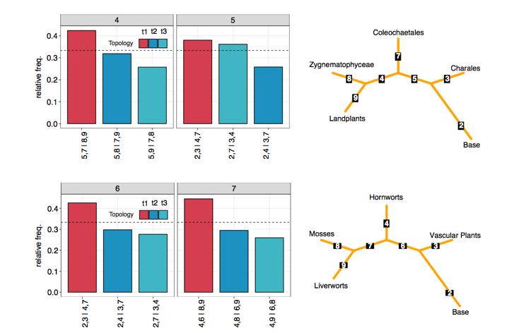 Quartet-based gene tree discordance Input: A species tree A set of gene trees Mapping of species to groups