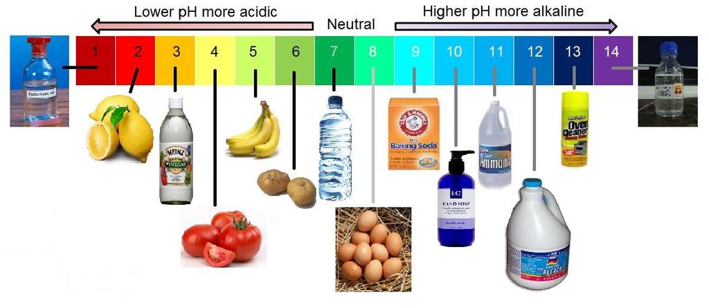 Unit 1 Lesson 4 Pure Substances and Mixtures How can compounds be classified? P57 Compounds can be classified as acidic, basic, or neutral by measuring ph.