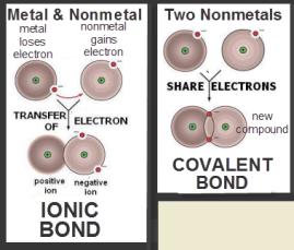 However, gaining or losing a proton makes an atom into a completely different element.