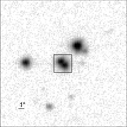Figure 5. Images of KOI 2174 observed with Keck/NIRC2 in the J-band filter (left) and in the K-band filter (right). The image scale is 0.01 /pixel; the images shown are 3 on each side.