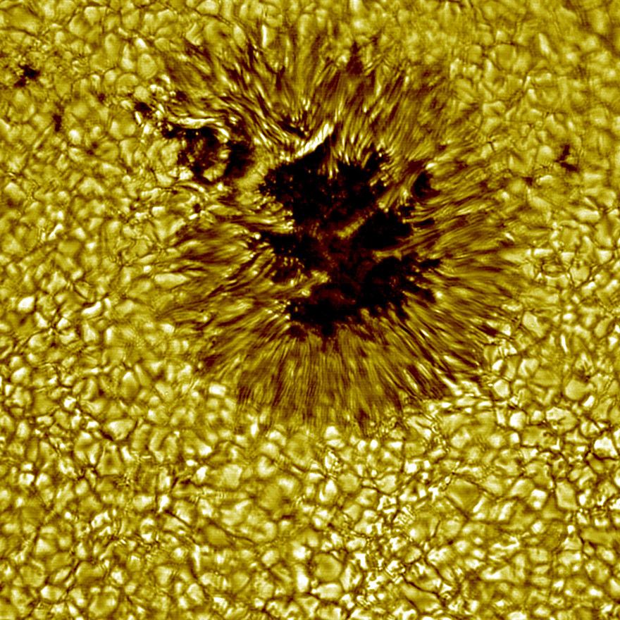 Photospheric Features Sunspots: dark spots on the surface where the temperature is