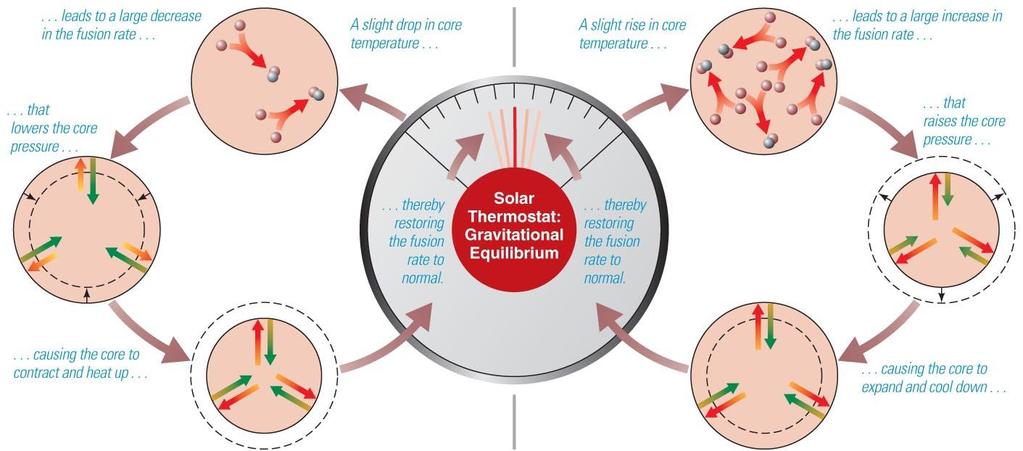 Solar Thermostat Decline in core temperature causes fusion rate to drop, so core contracts and