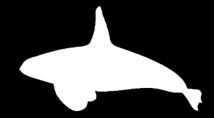 CONCERN: Harbour porpoise (last assessment 1989) Gray whale (last assessment 2004) THREATHENED: Humpback whale