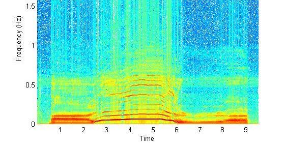 The Spectrogram spectrogram(y,124,512,124,fs,'yaxis'); A series of short term DFTs Typically just