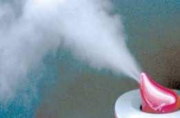 2. Humidifier Disinfectant Accident Background - Chemicals used in humidifier disinfectants were exposed to users through