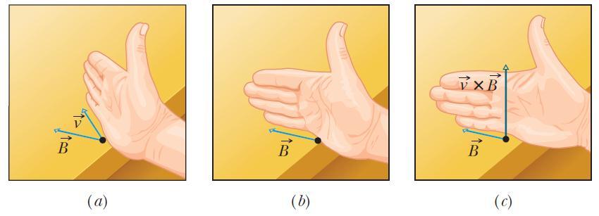 Direction of F B Right-hand rule: The thumb of the right hand points in the direction of v Bwhen the