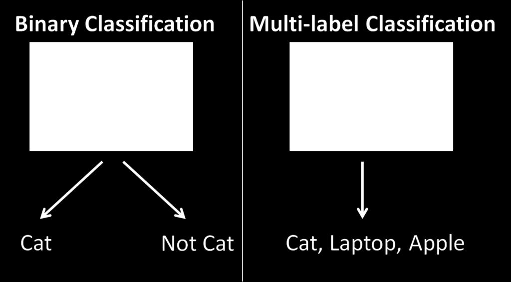 of labels Image classification > 10000 labels