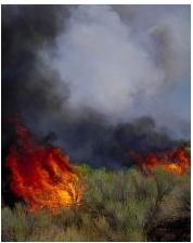 Fire Adaptation Suppression Benefit Source: http://www.