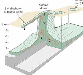 Salt kinetics Bitumens in Ara salt Hutt Lagoon Salt tectonics Many of the world s oil and gas fields occur in halokinetically-influenced structures across many of the world s salt basins (e.g. Campos Basin, Gulf of Mexico, North Sea, Lower Congo Basin, Santos Basin and Zagros).