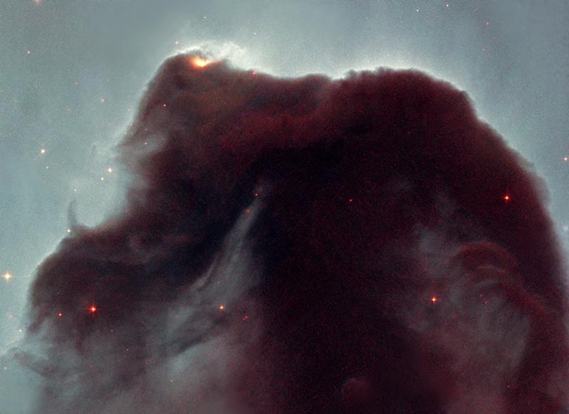 Stars form in molecular clouds