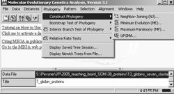 Stage 4: Tree-building methods: distance Many software packages are available for making phylogenetic trees.