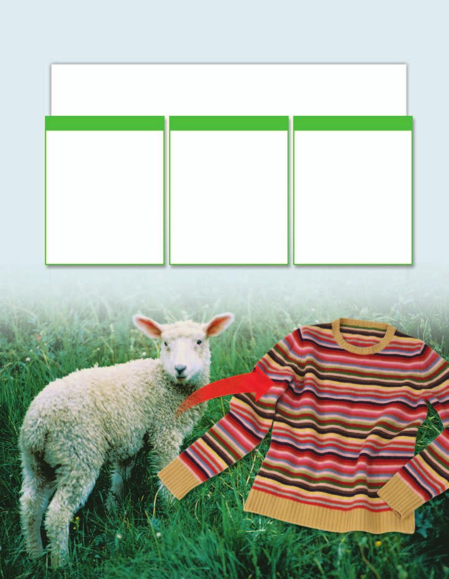 Physical Changes The process of turning wool into a sweater requires that the wool